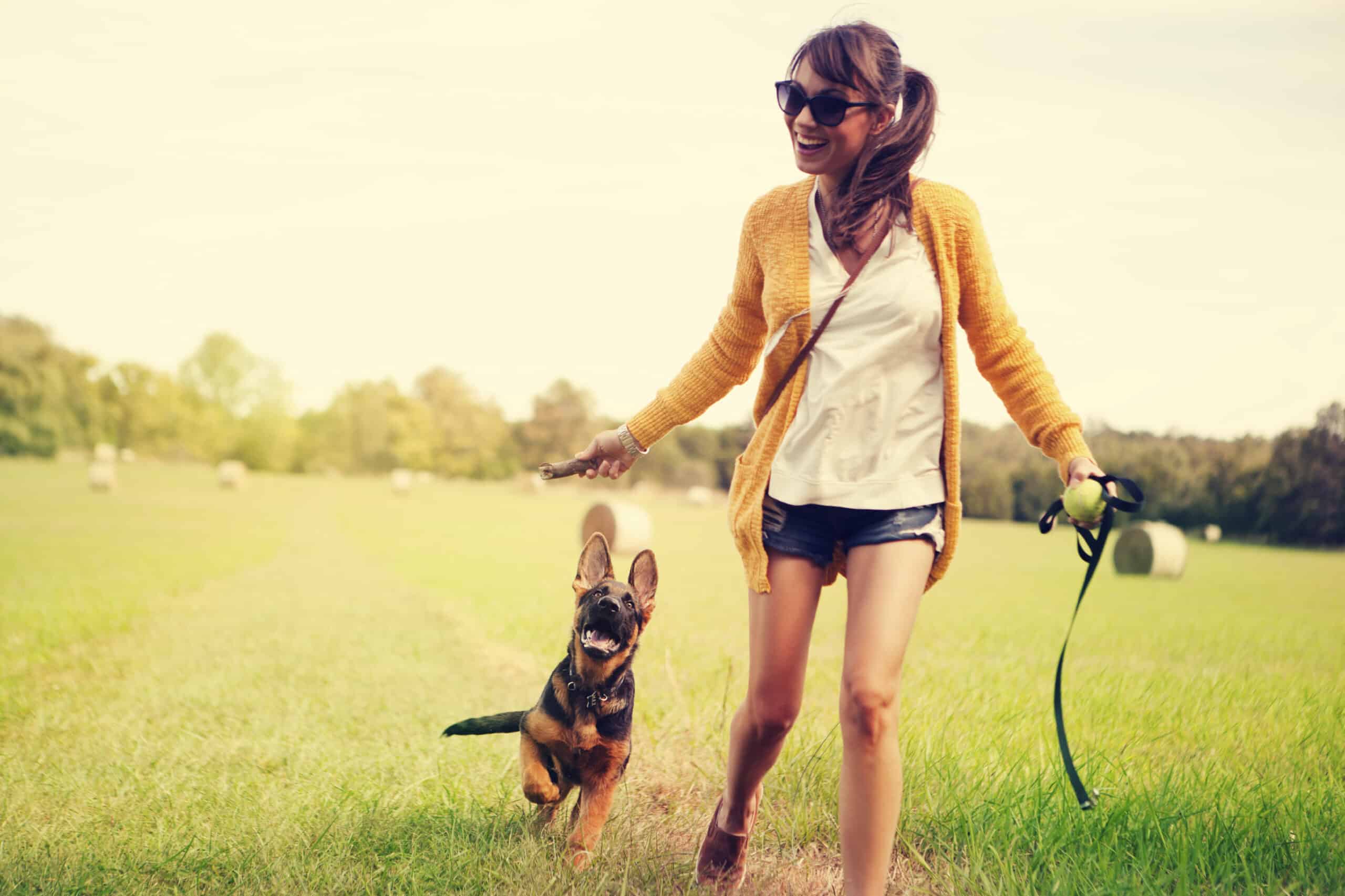 Walking Your Dog Off Leash: Is it Really Safe?