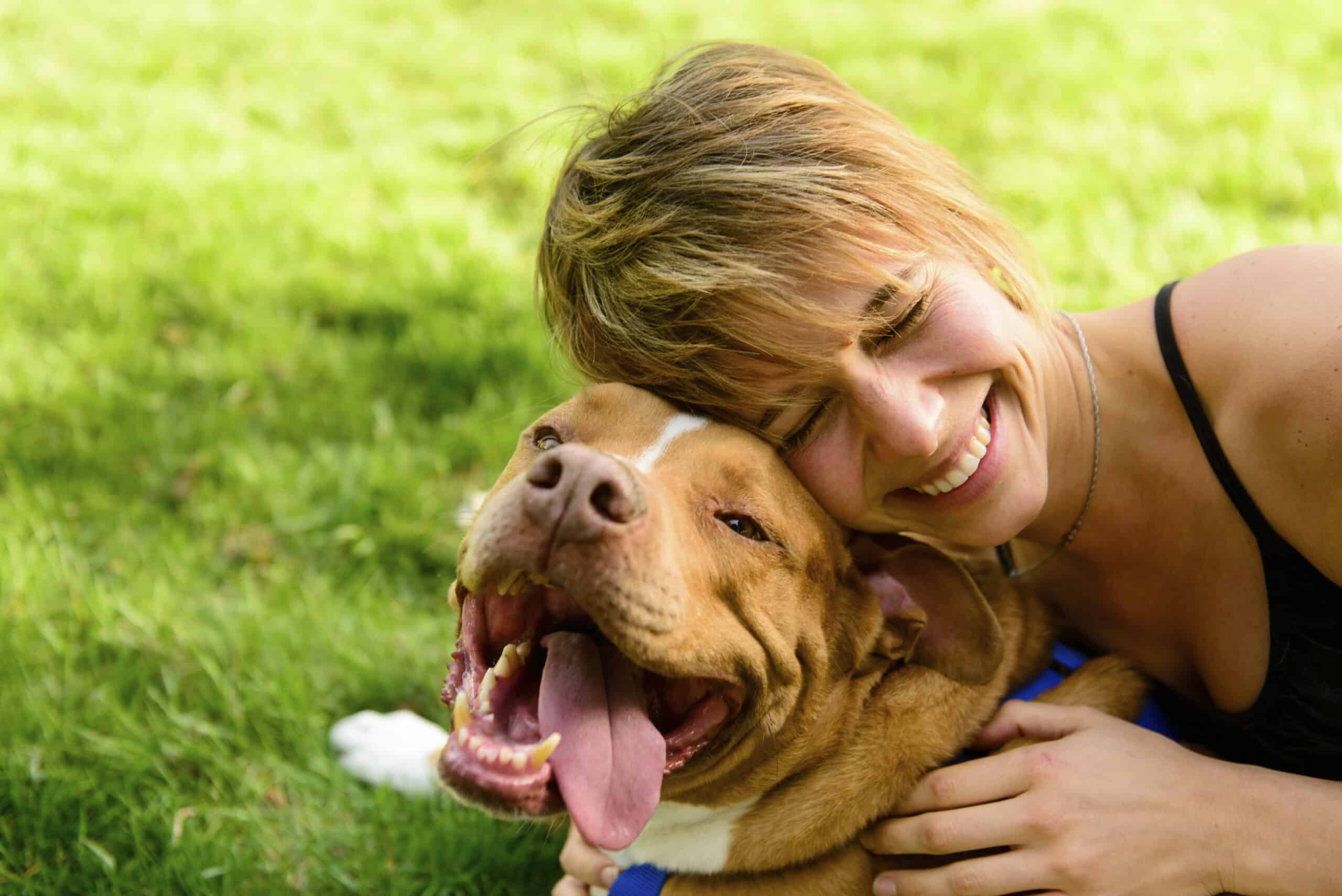 Pets and Their People: Exploring the Human-Animal Bond