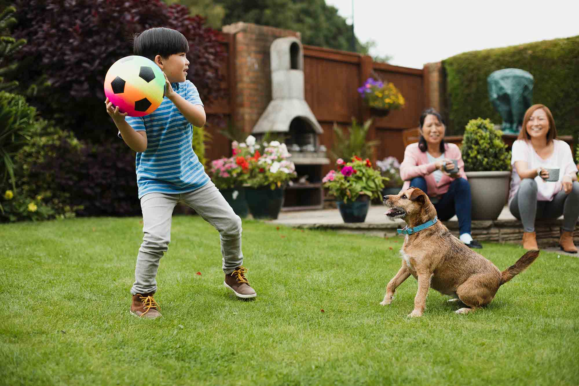 Your Ultimate Summer Pet Safety Home and Garden Checklist