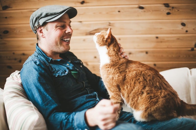 The New You: Can Owning a Cat Can Make You Healthier?