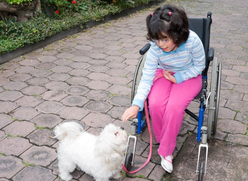 Let Us Count the (Innumerable) Ways Pets Help Kids With Disabilities
