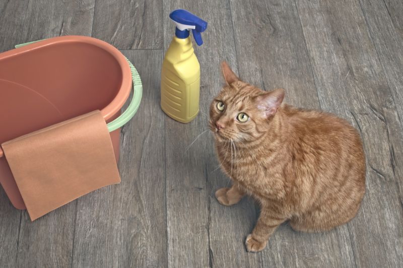 Pet Toxin Awareness: How to Safely Store Household Hazards