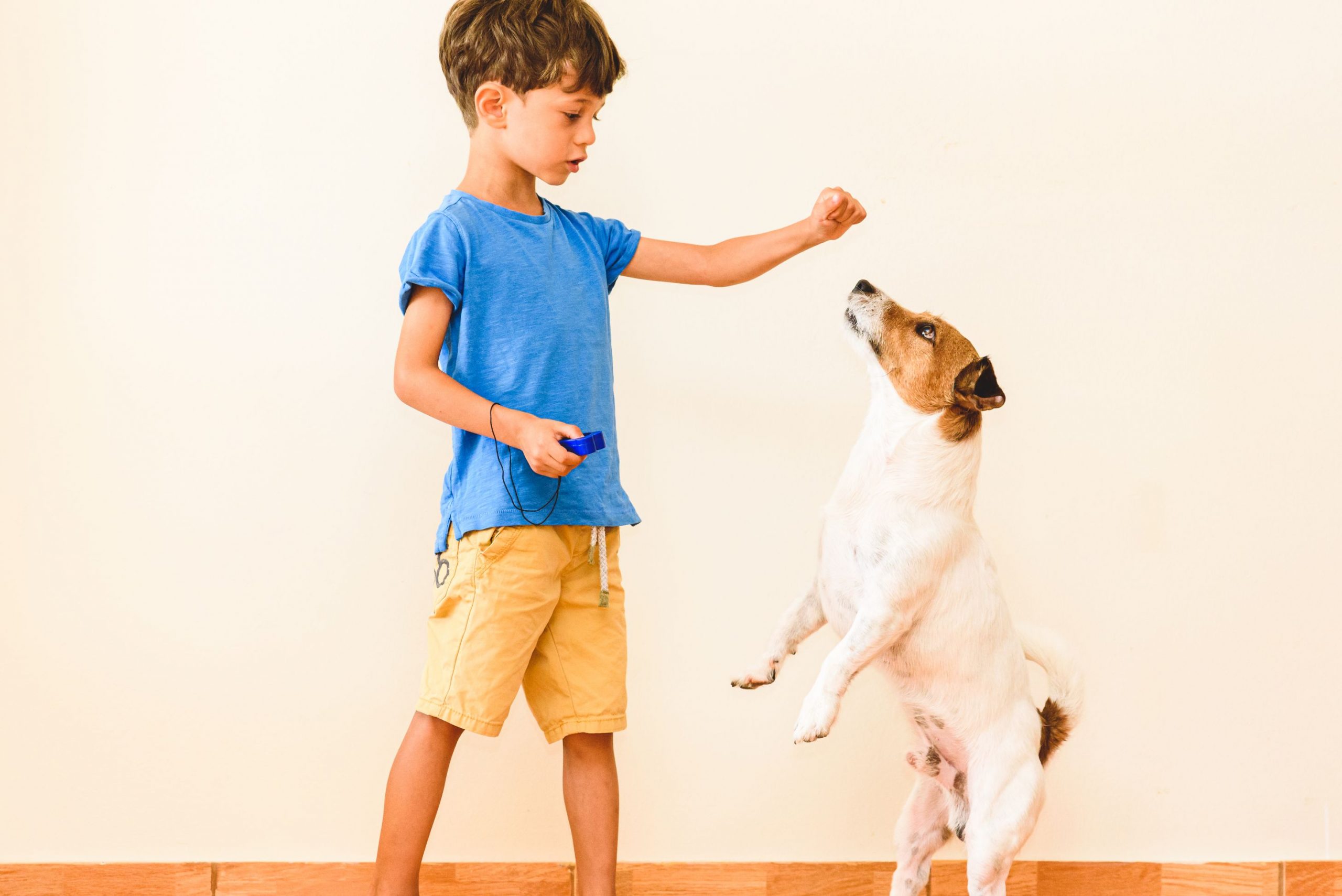 Clicker Training Your Dog: How Does It Work?