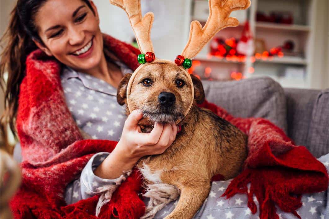 Pets and Mental Health: How They Help Us Beat the Holiday Blues