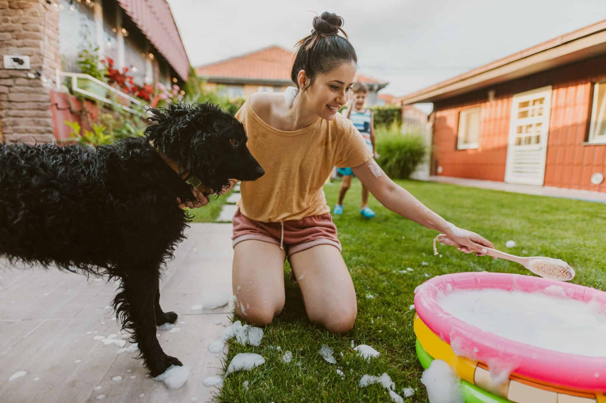 Summer Shedding: Tips for Managing Excessive Pet Hair