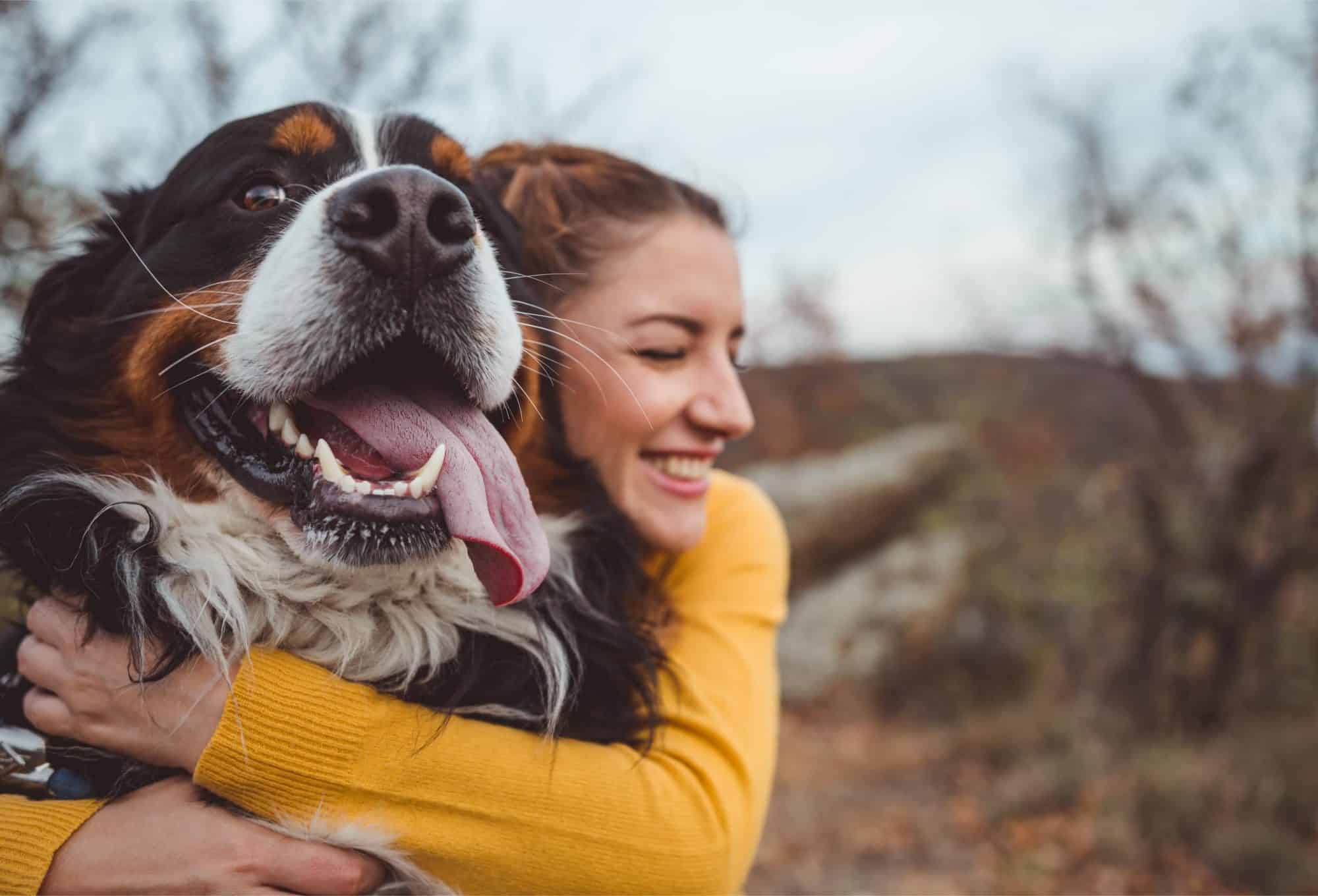 Exploring the Truth Behind the “One Dog Year Equals Seven Human Years ...