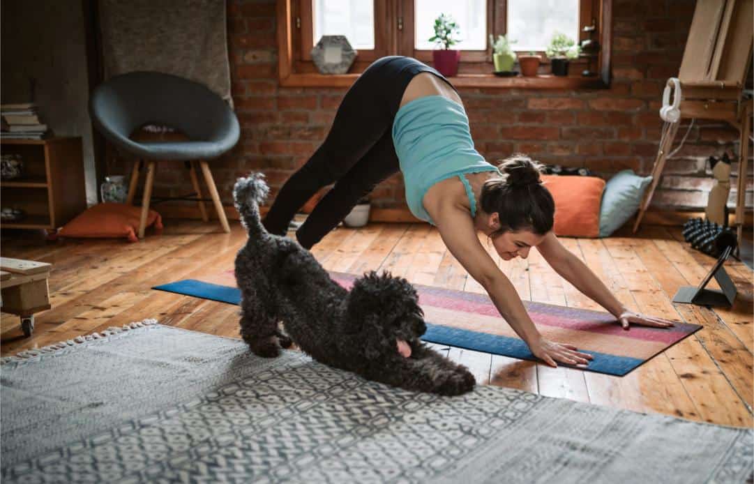 Understanding Pet Posture: How Stance and Movement Reflect Health